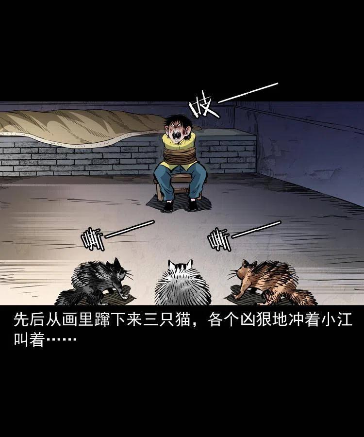 一百三十四话 百猫图43