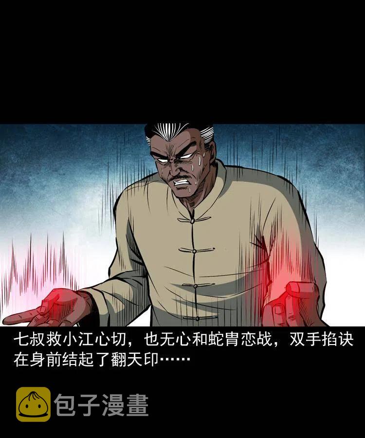 四十八话 幕后黑手47