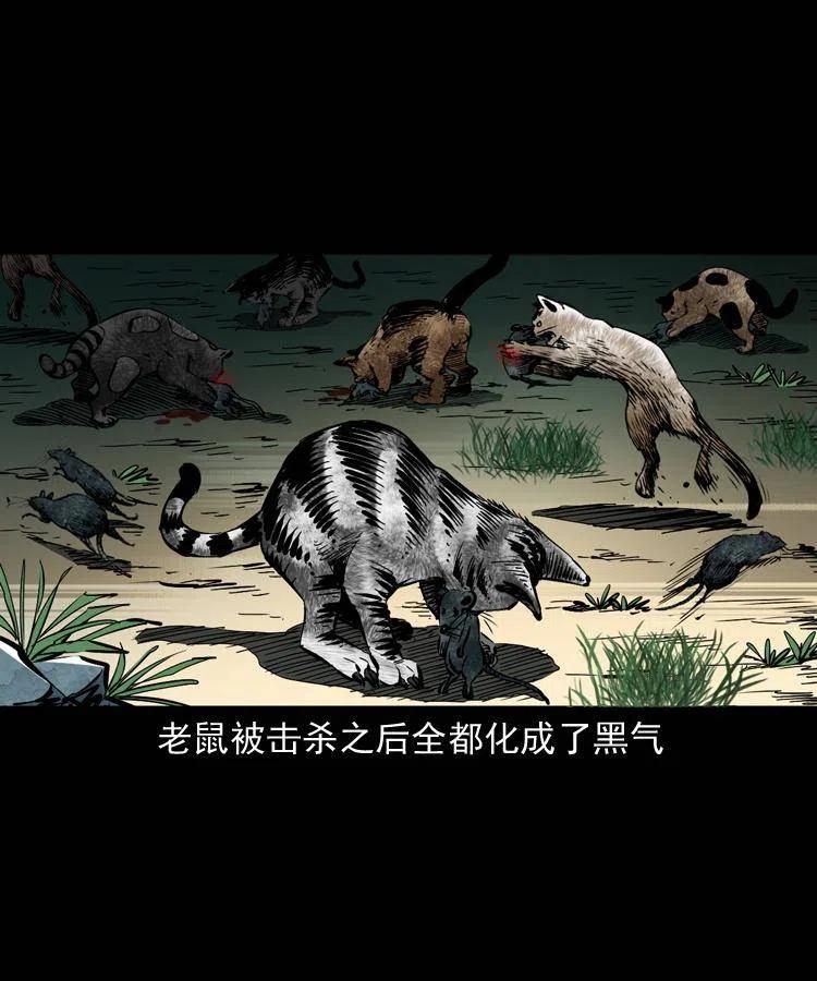 一百三十五话 百猫伏鼠5
