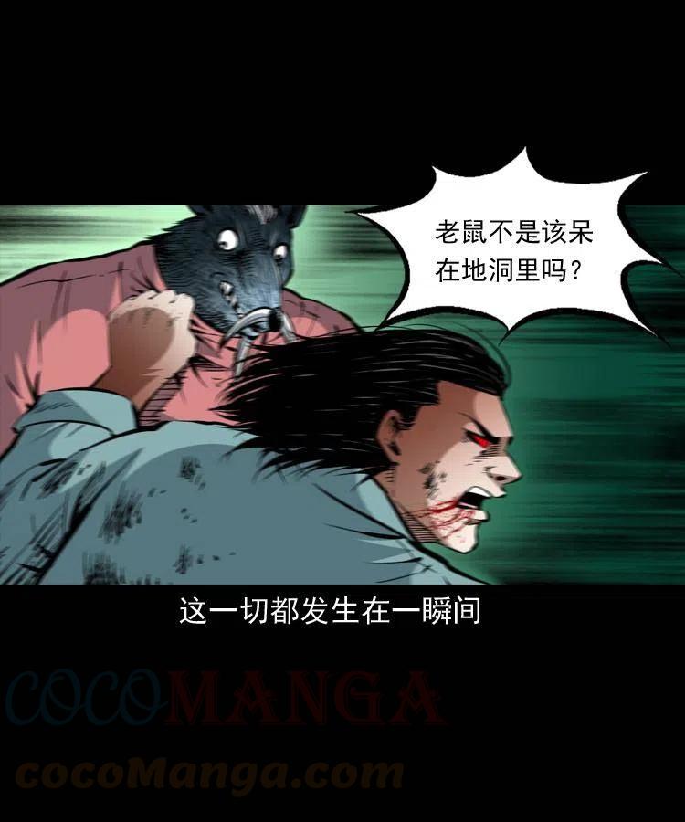 一百四十四话 老耗子57
