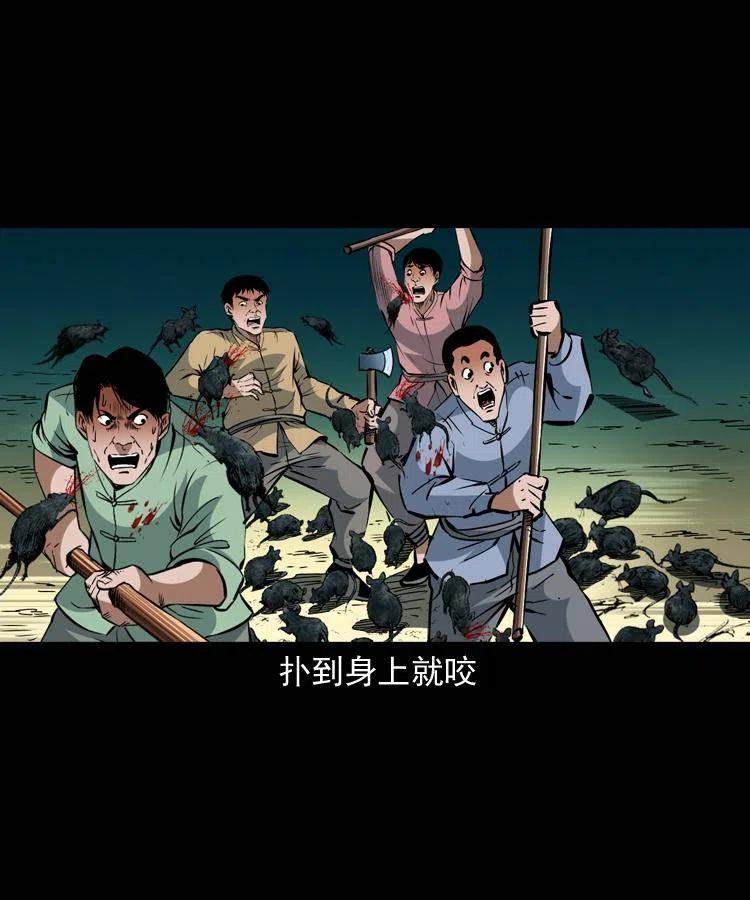 一百三十二话 深入鼠穴52