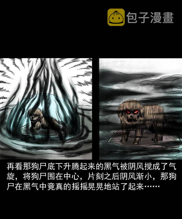 第十七话 青囊尸典37