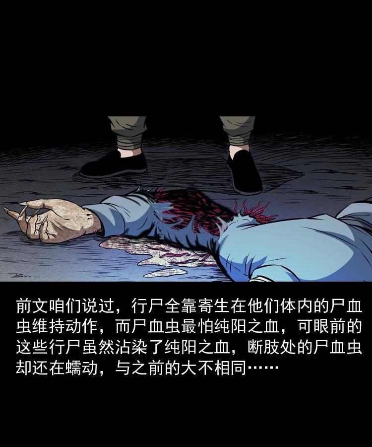 第十八话 群尸来袭17