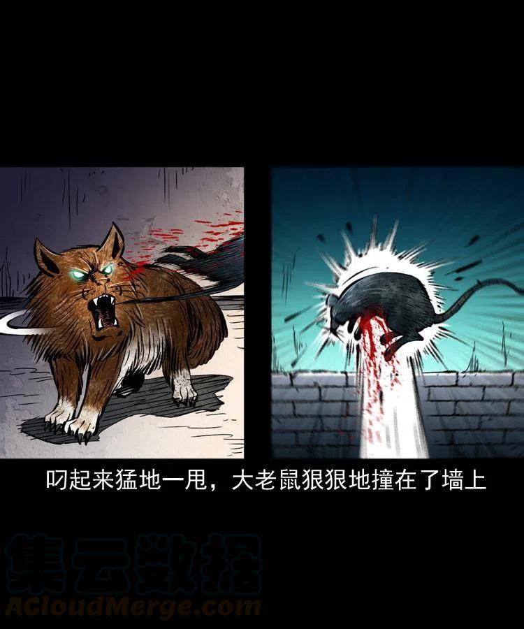 一百三十四话 百猫图54