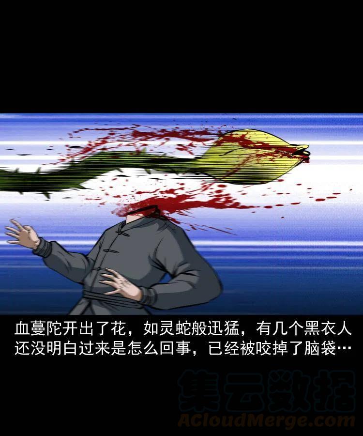 二十八话 断魂桥56