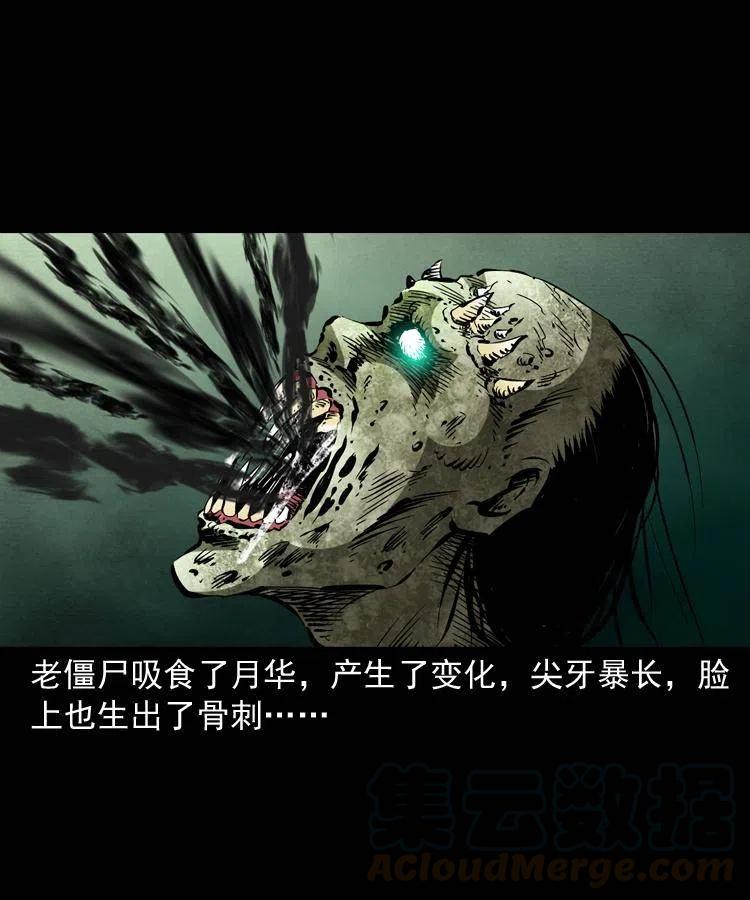 一百三十八话 收大粽9
