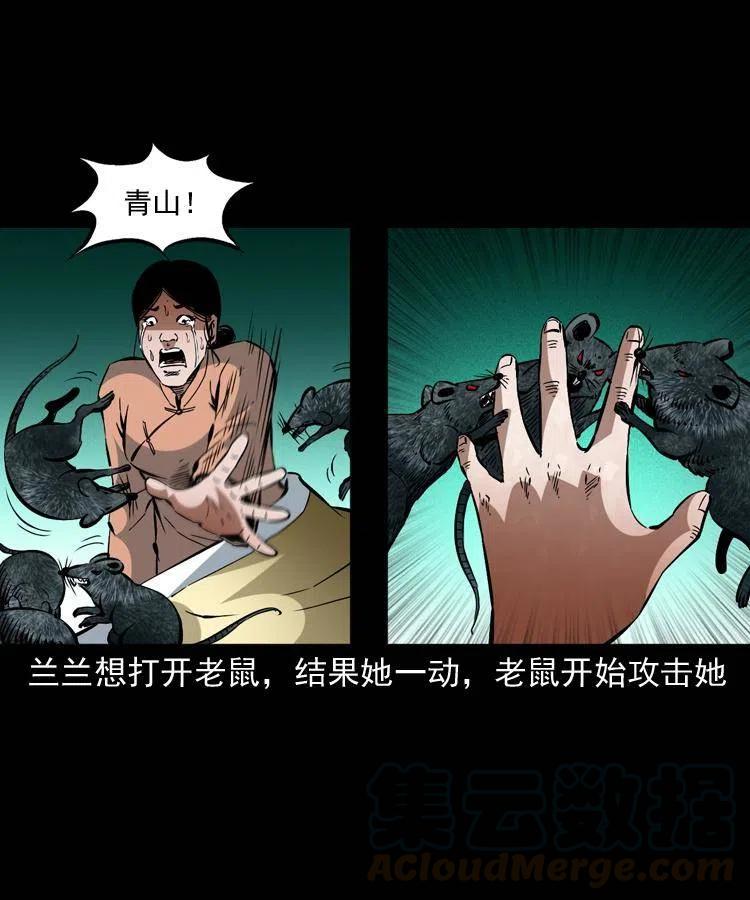 一百三十一话 捕鼠高手30
