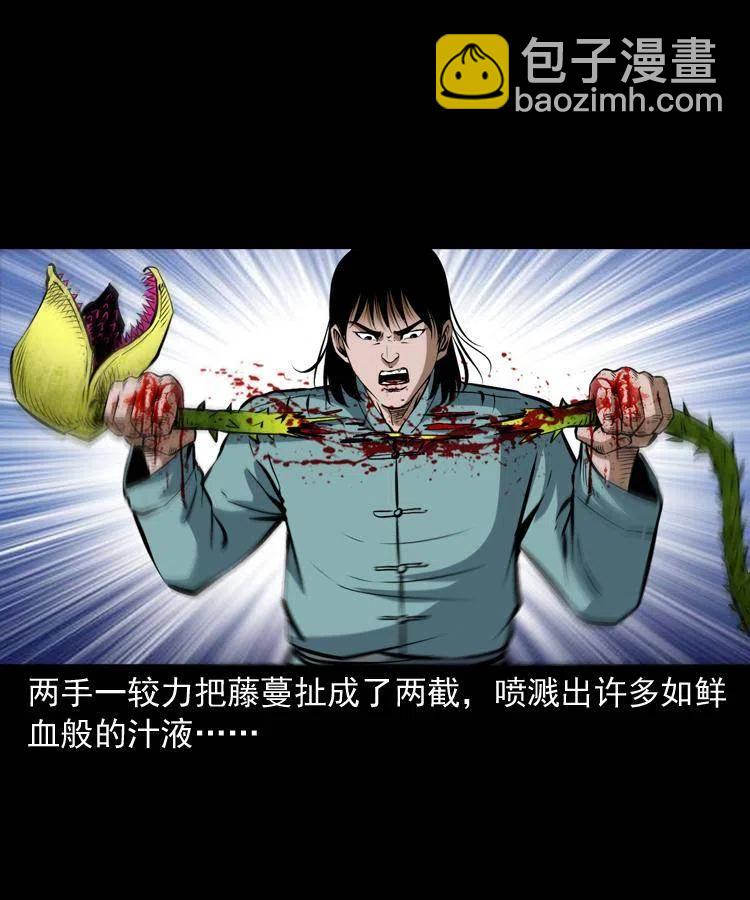 二十八话 断魂桥58