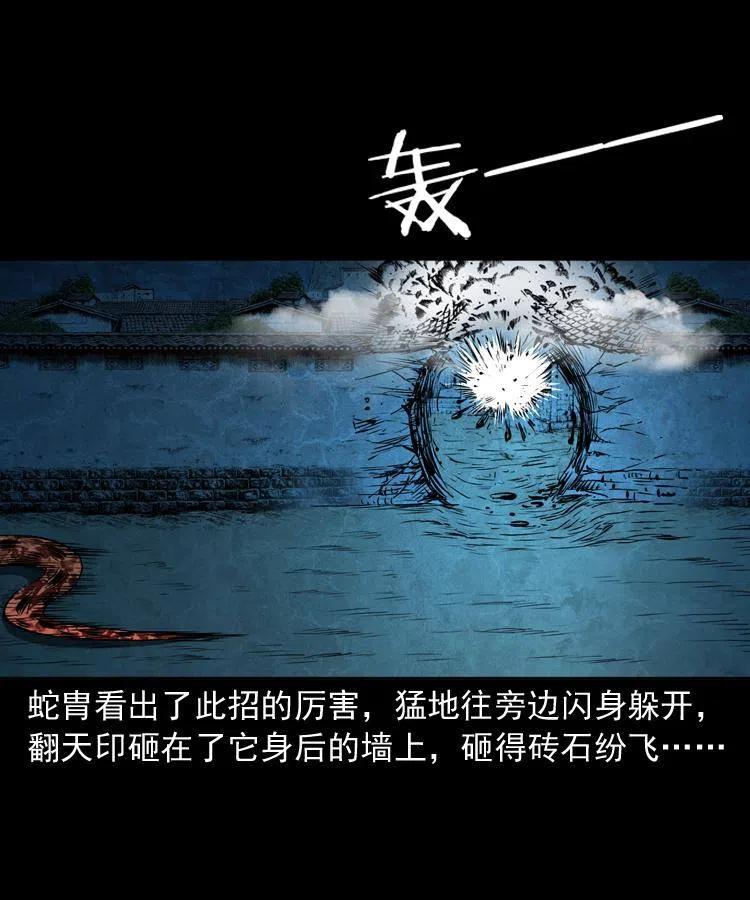 四十八话 幕后黑手49
