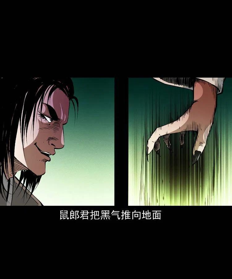 一百五十六话 围攻鼠郎君41