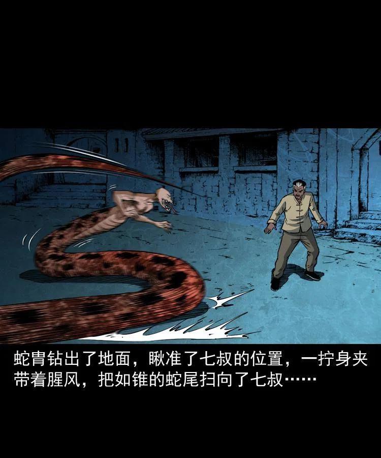 四十八话 幕后黑手43