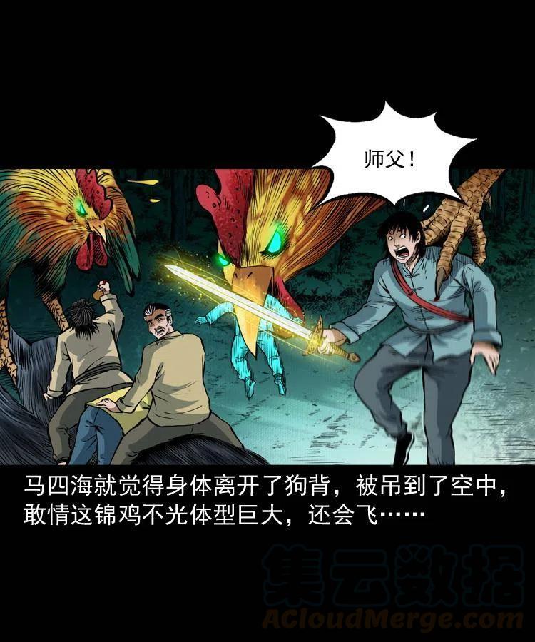 七十七话 金鸡山40