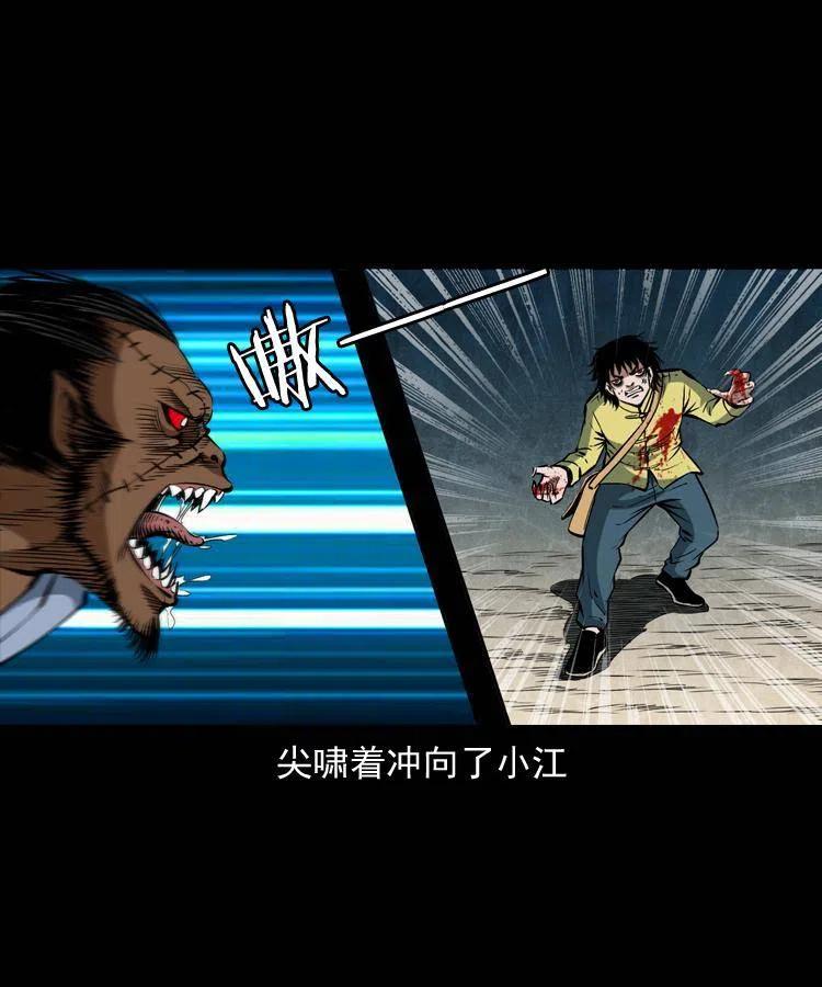 四十六话 蛊人71