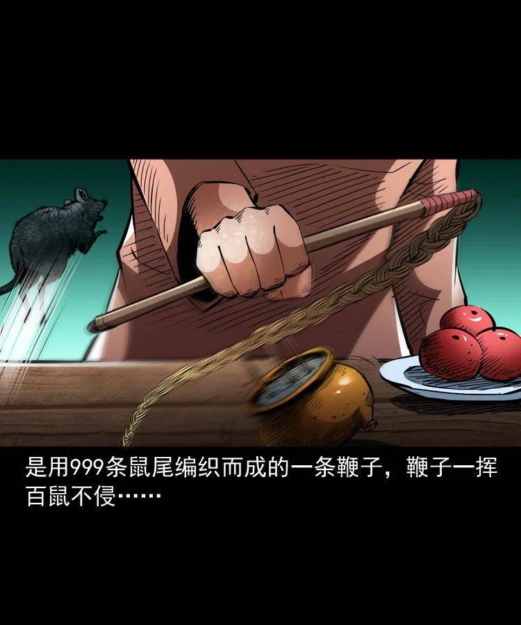 一百三十一话 捕鼠高手35