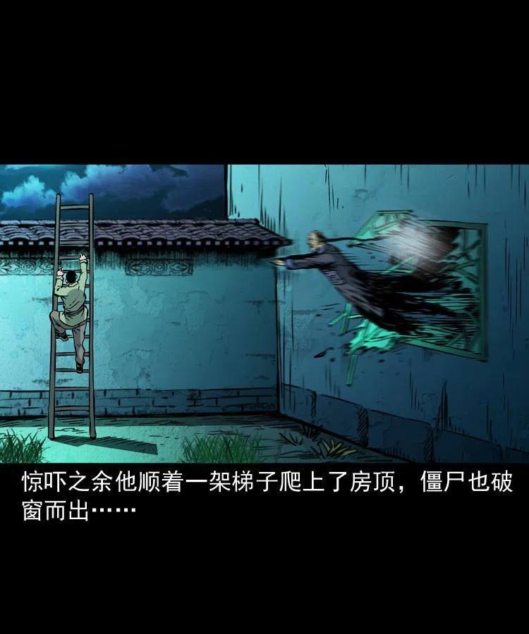 一百三十五话 百猫伏鼠37