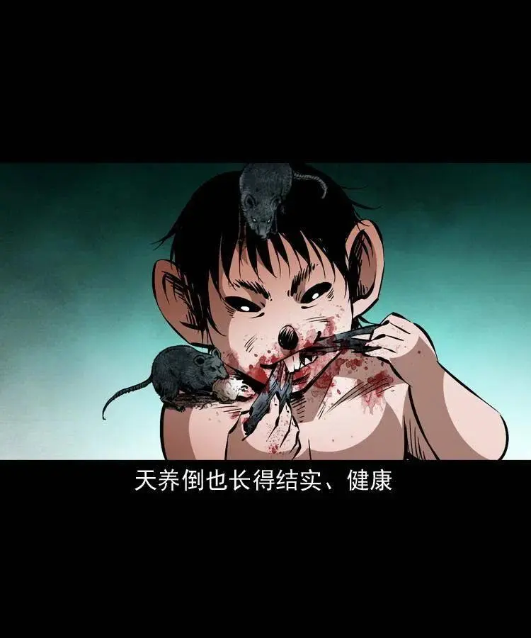 一百二十五话 鼠郎君17