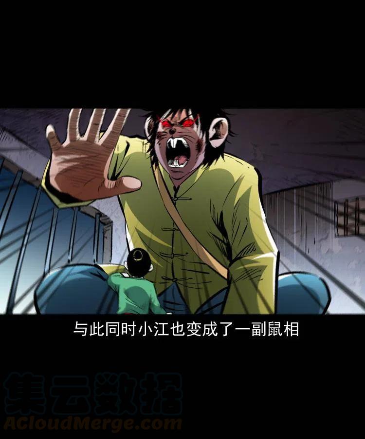 一百三十三话 鼠化的小江24