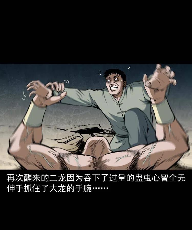 四十六话 蛊人31