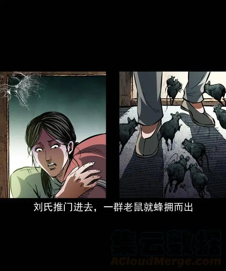 一百二十五话 鼠郎君9
