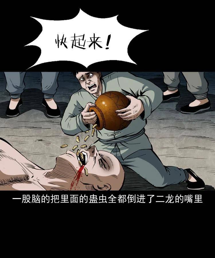 四十六话 蛊人29
