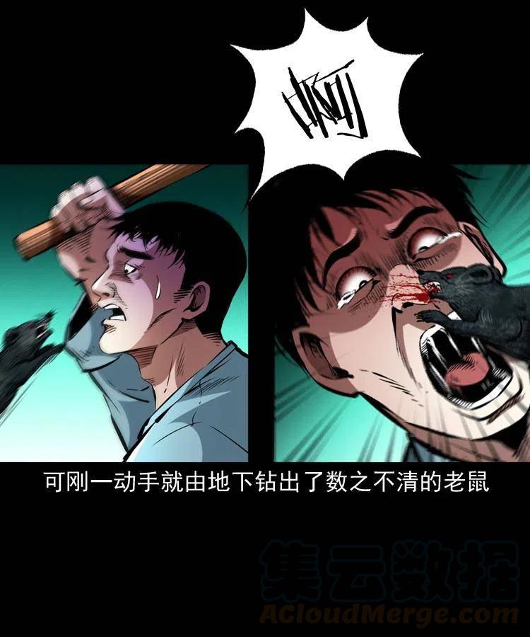 一百三十二话 深入鼠穴51