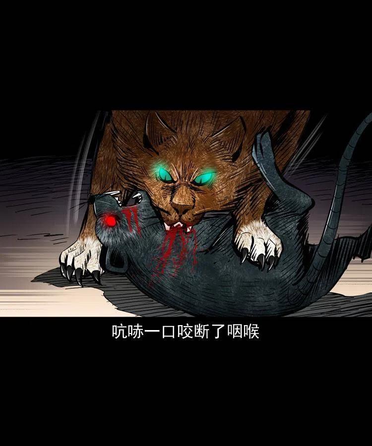 一百三十四话 百猫图53