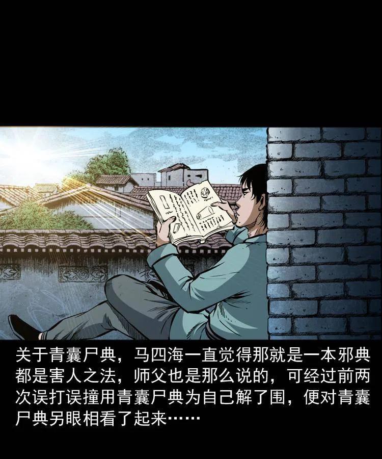 五十八话 又见青囊尸典21