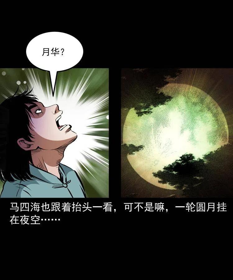 一百三十八话 收大粽8