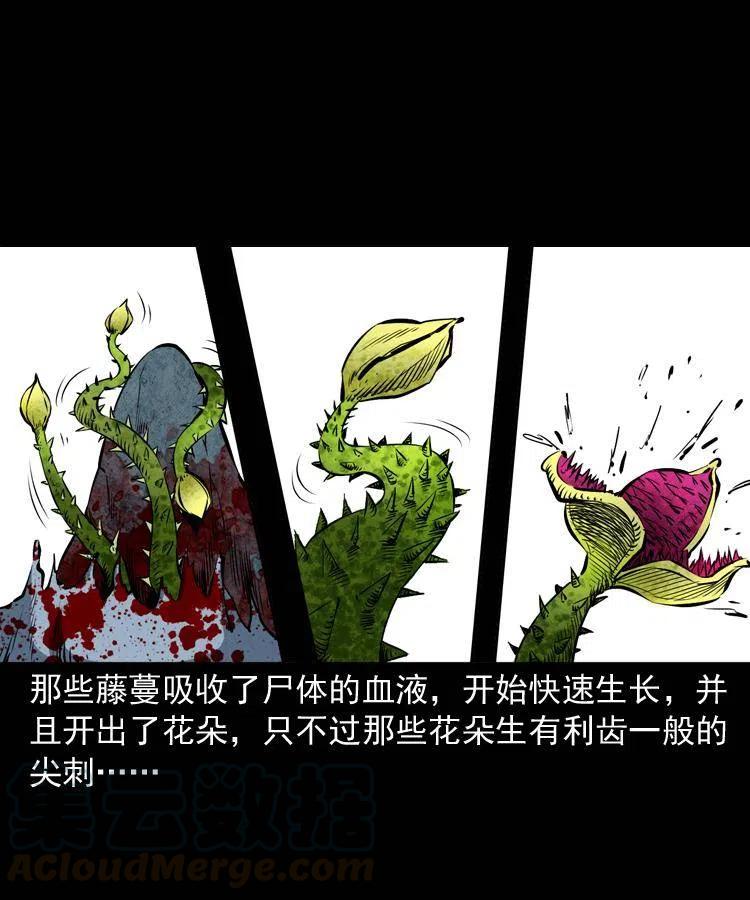 二十八话 断魂桥52
