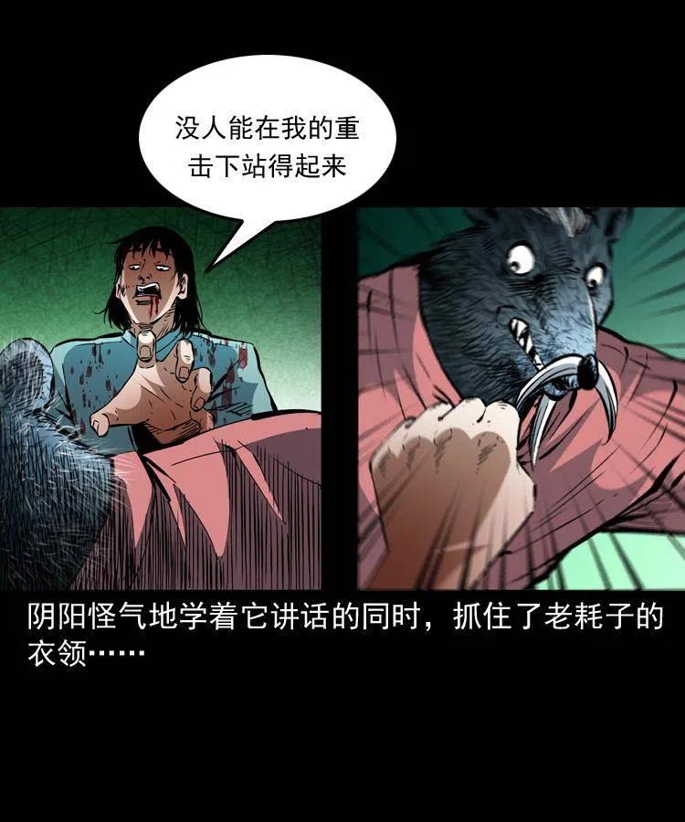 一百四十四话 老耗子56