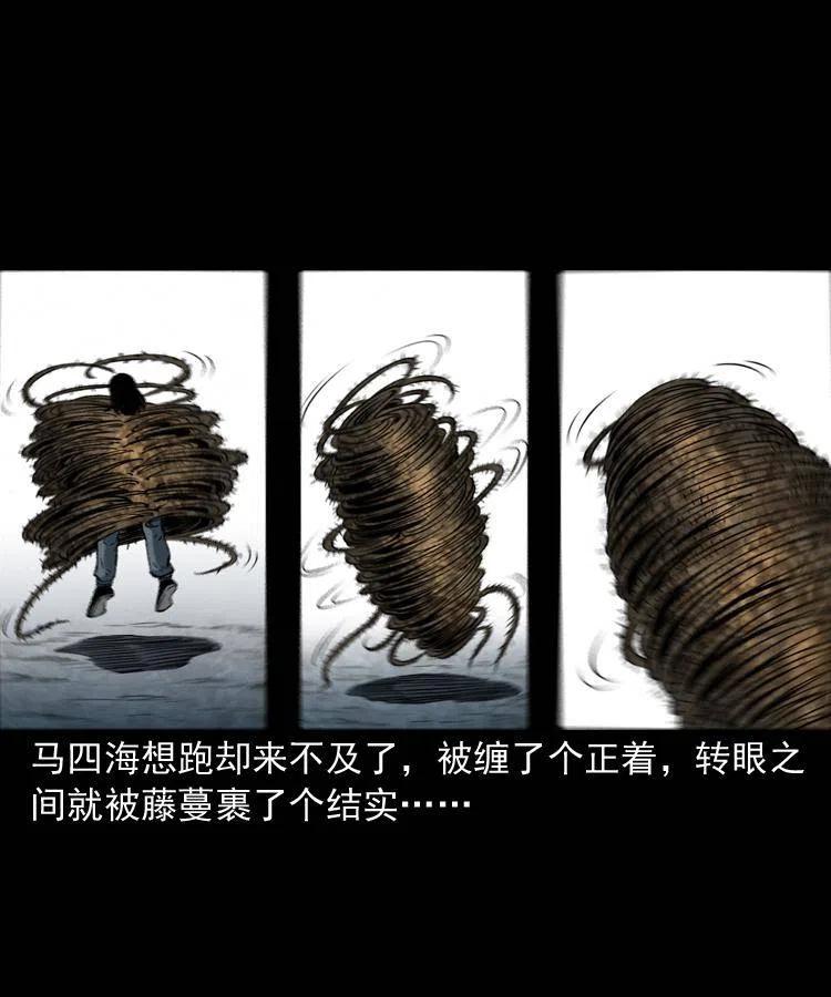五十六话 马四海捉妖49