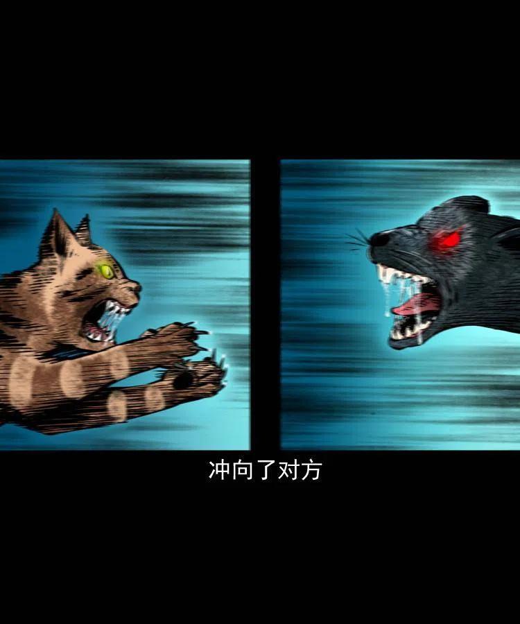 一百三十四话 百猫图46