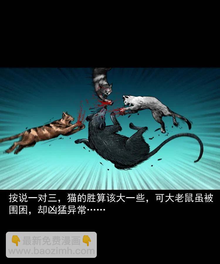 一百三十四话 百猫图47