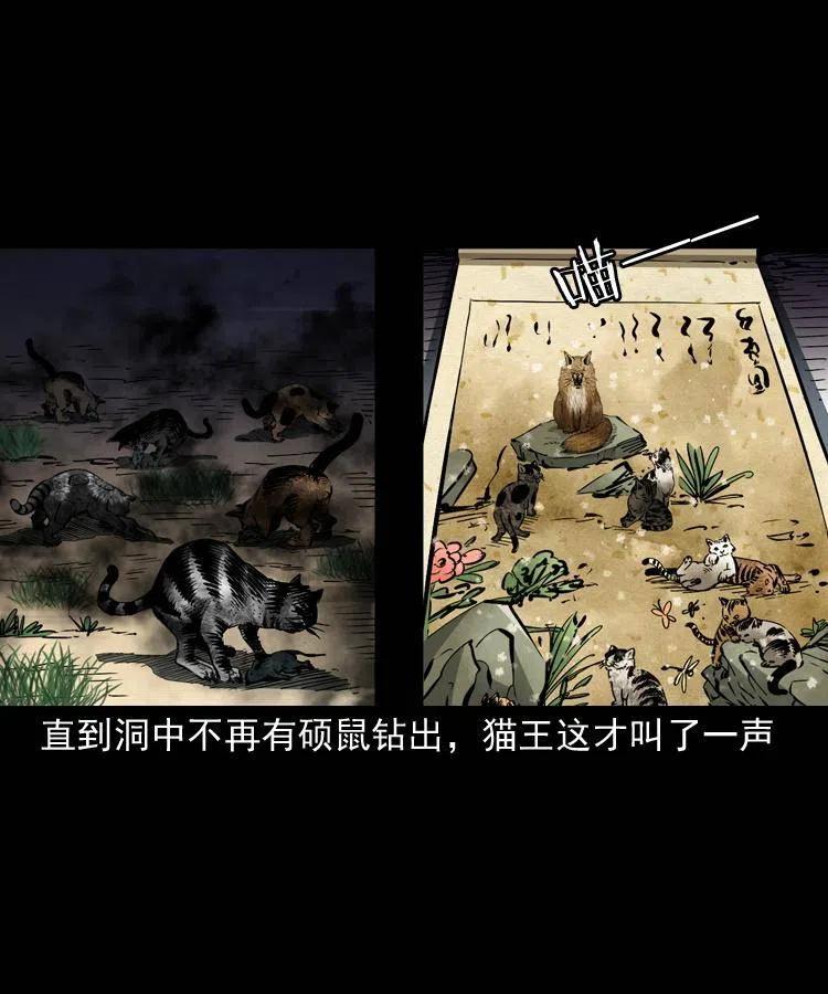 一百三十五话 百猫伏鼠8