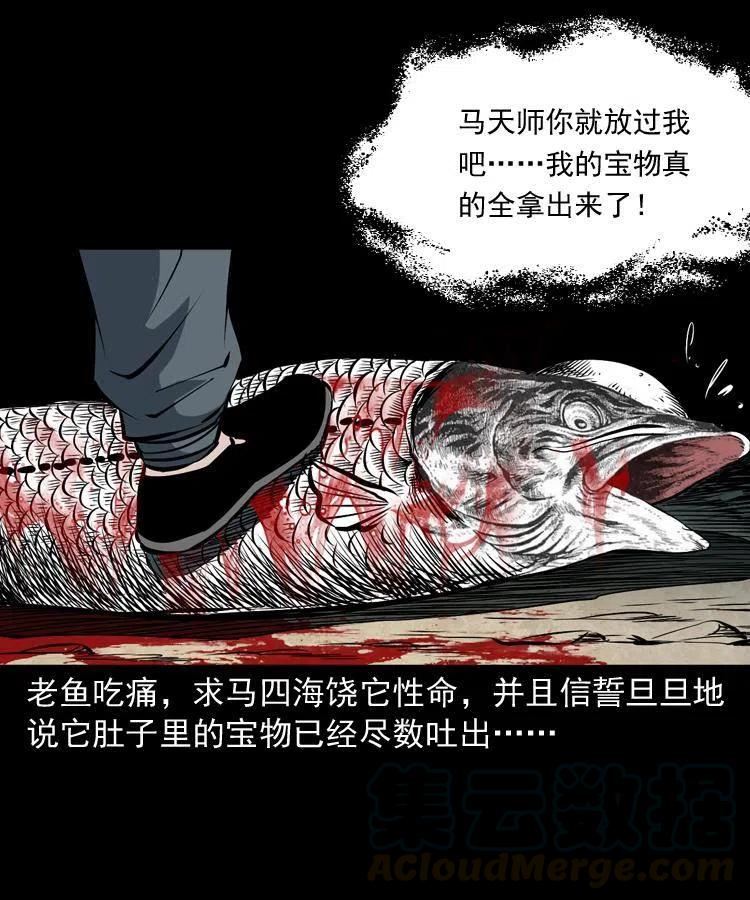四十五话 老鱼献宝24