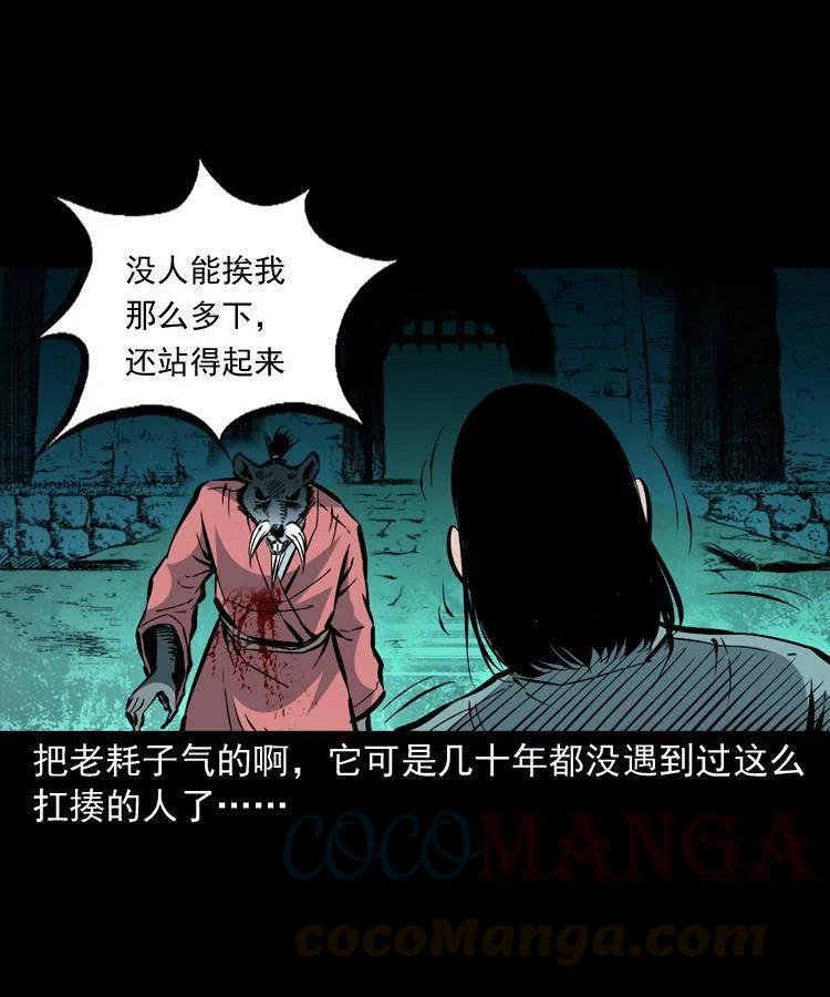 一百四十四话 老耗子51