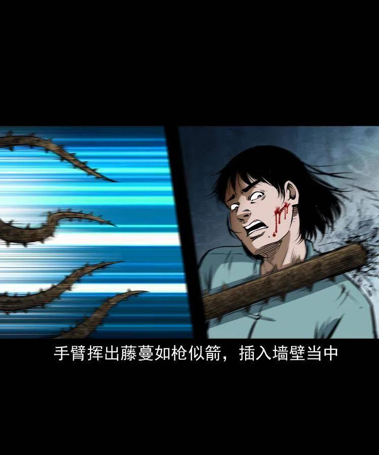 五十六话 马四海捉妖43