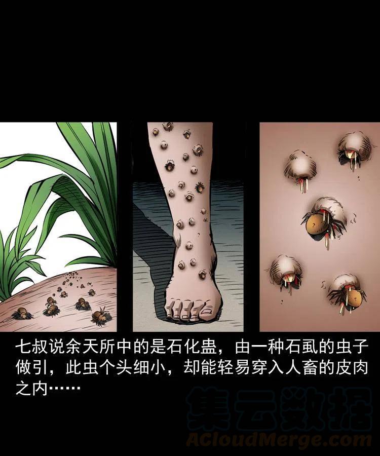 四十二话 苗疆蛊王28