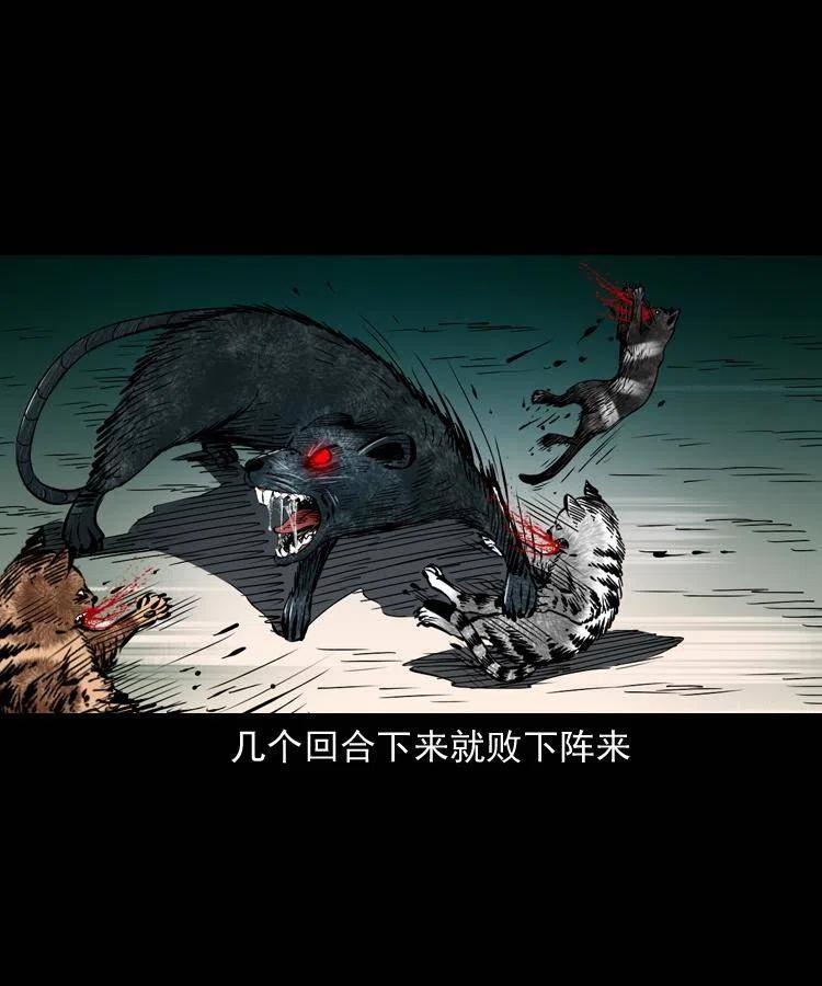 一百三十四话 百猫图49