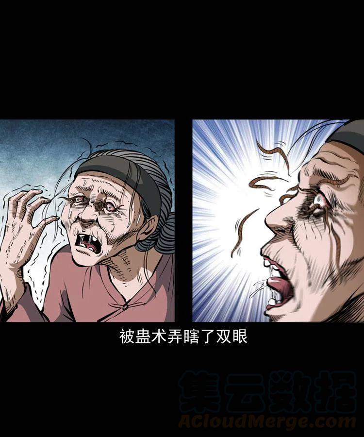 四十二话 苗疆蛊王12