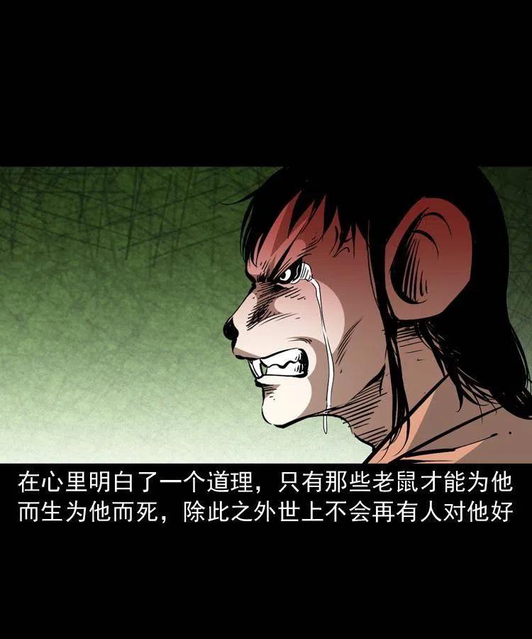 一百五十六话 围攻鼠郎君5