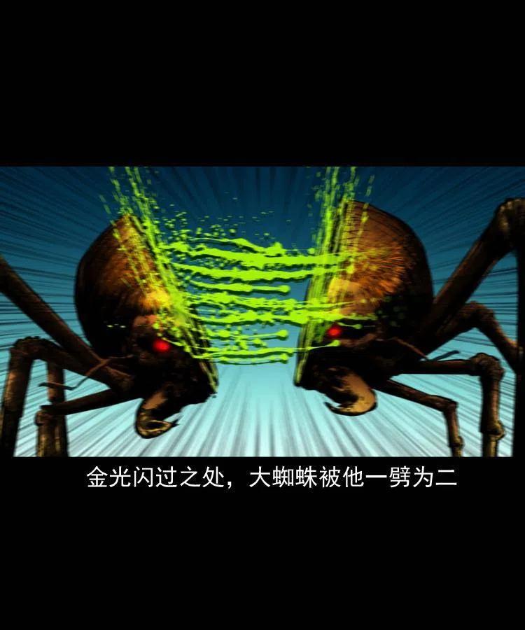 一百三十话 大破蜘蛛怪31