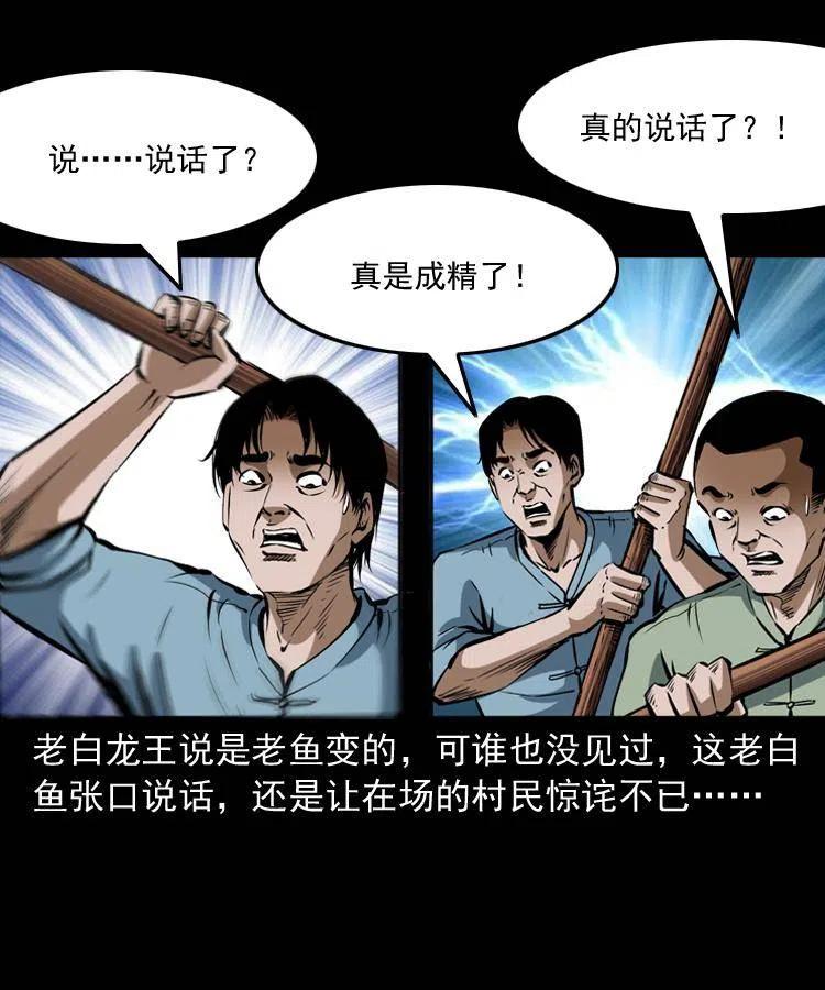 四十五话 老鱼献宝9