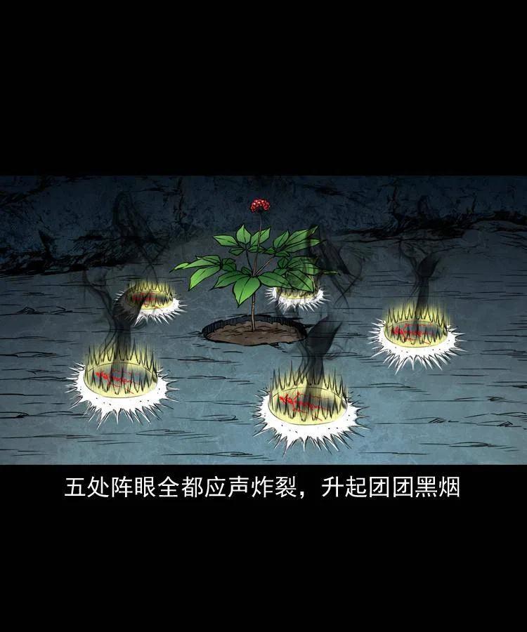 五十二话 人参娃娃67