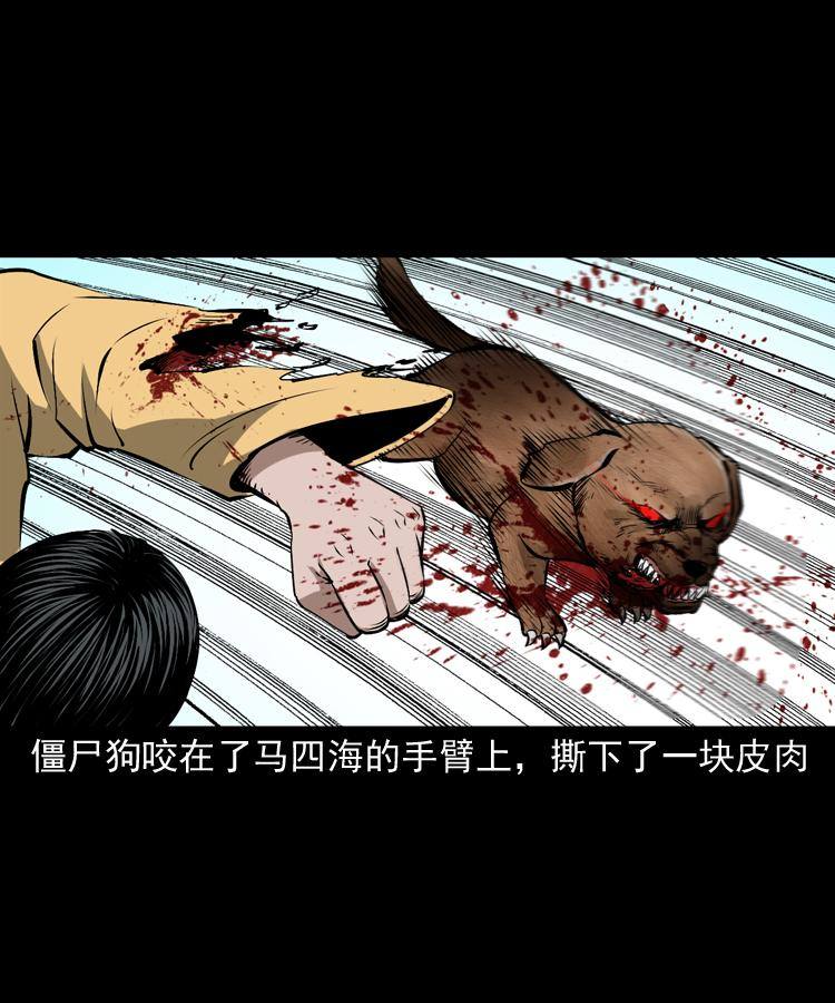 第十七话 青囊尸典44