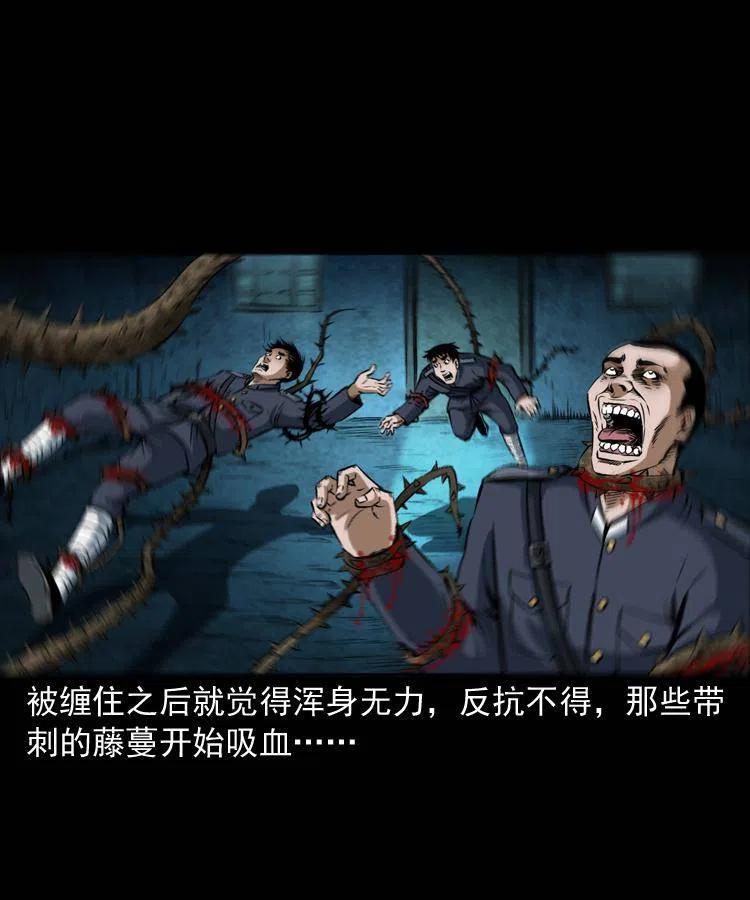 五十六话 马四海捉妖15