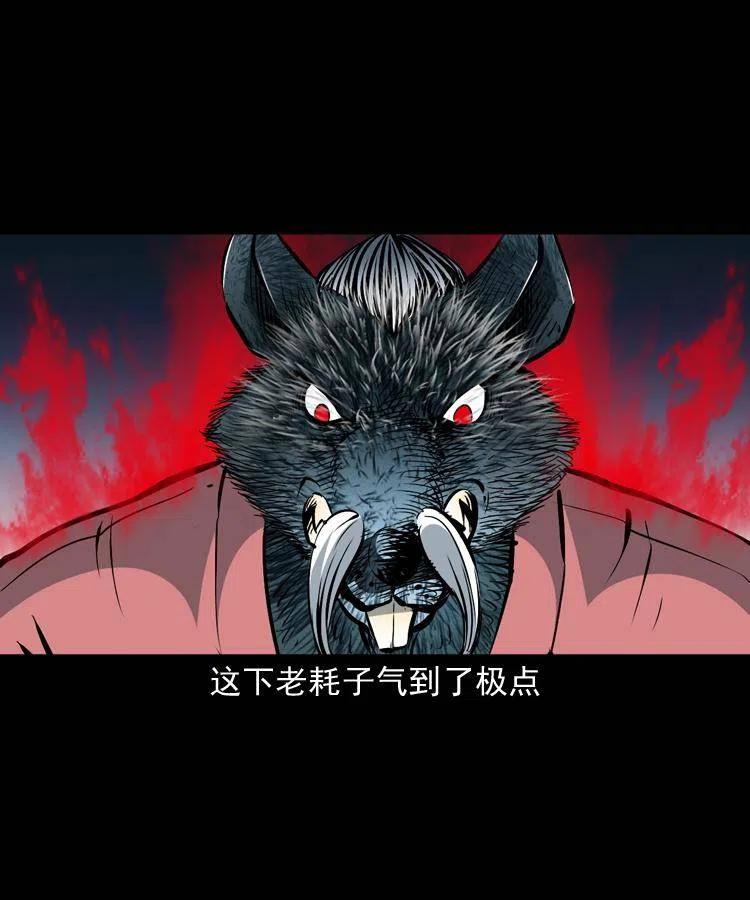 一百四十四话 老耗子44