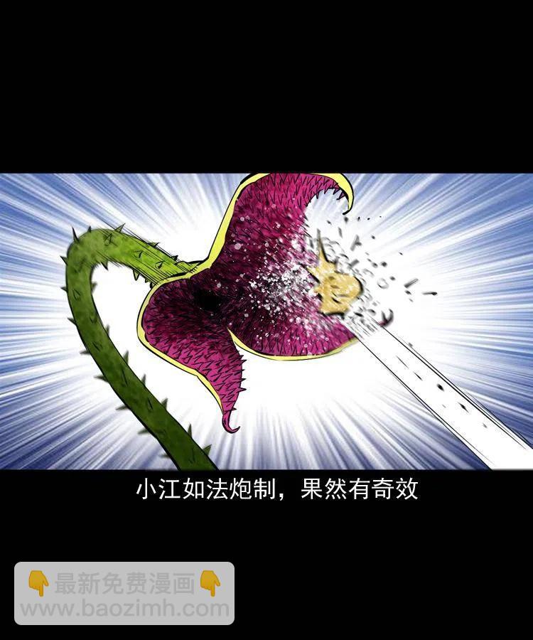 二十八话 断魂桥66
