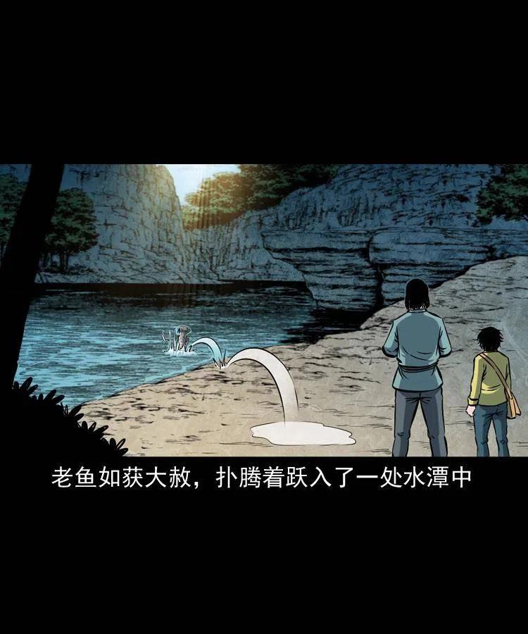 四十五话 老鱼献宝30