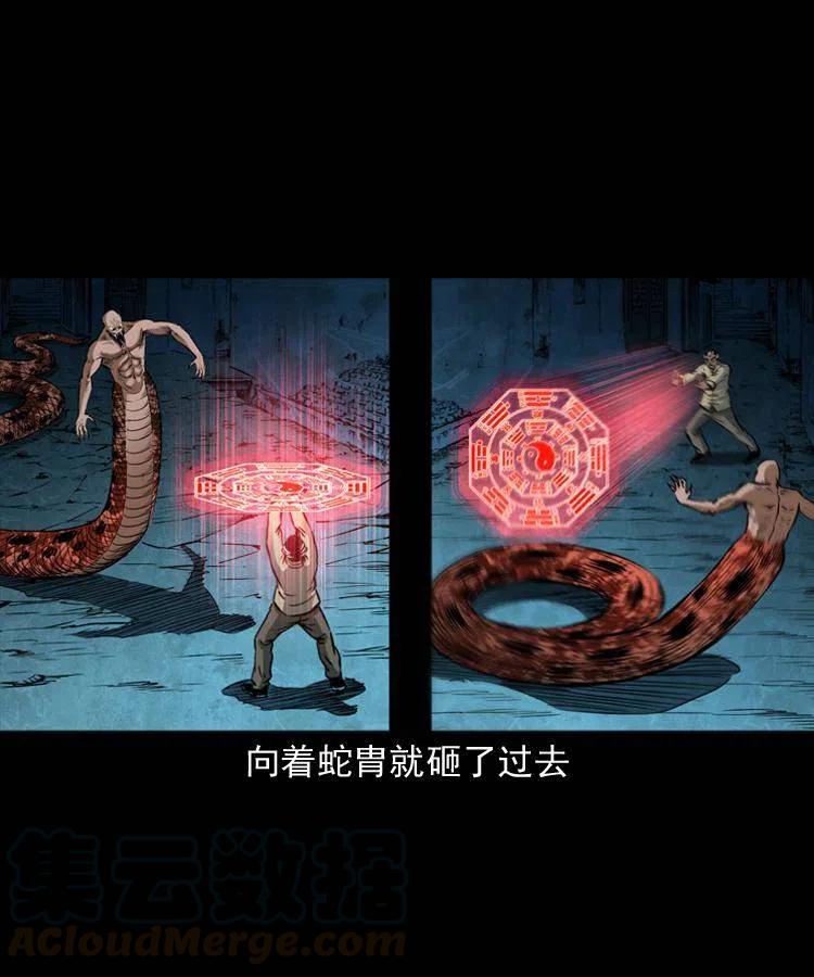 四十八话 幕后黑手48